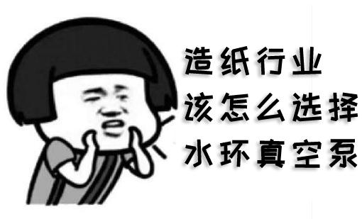 造纸行业该怎么选择水环91视频IOS下载(图1)